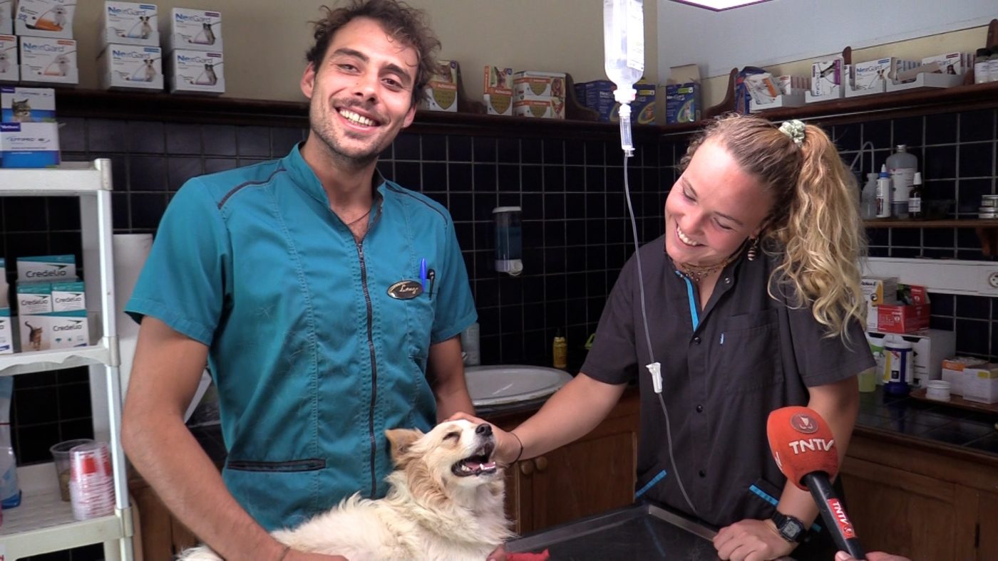 Reportage TNTV sur les missions vétérinaires dans les îles éloignées