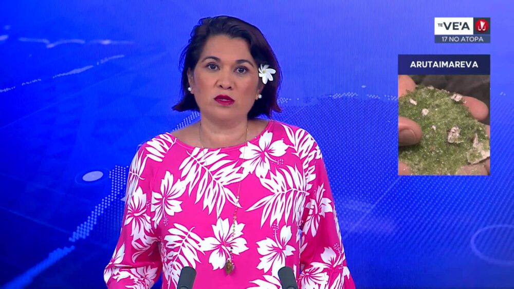 Te ve'a nō mahana pae 17 nō atopa 2025 • TNTV News - Tahiti Nui Télévision