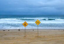 Australie : un homme décède après une attaque de requin